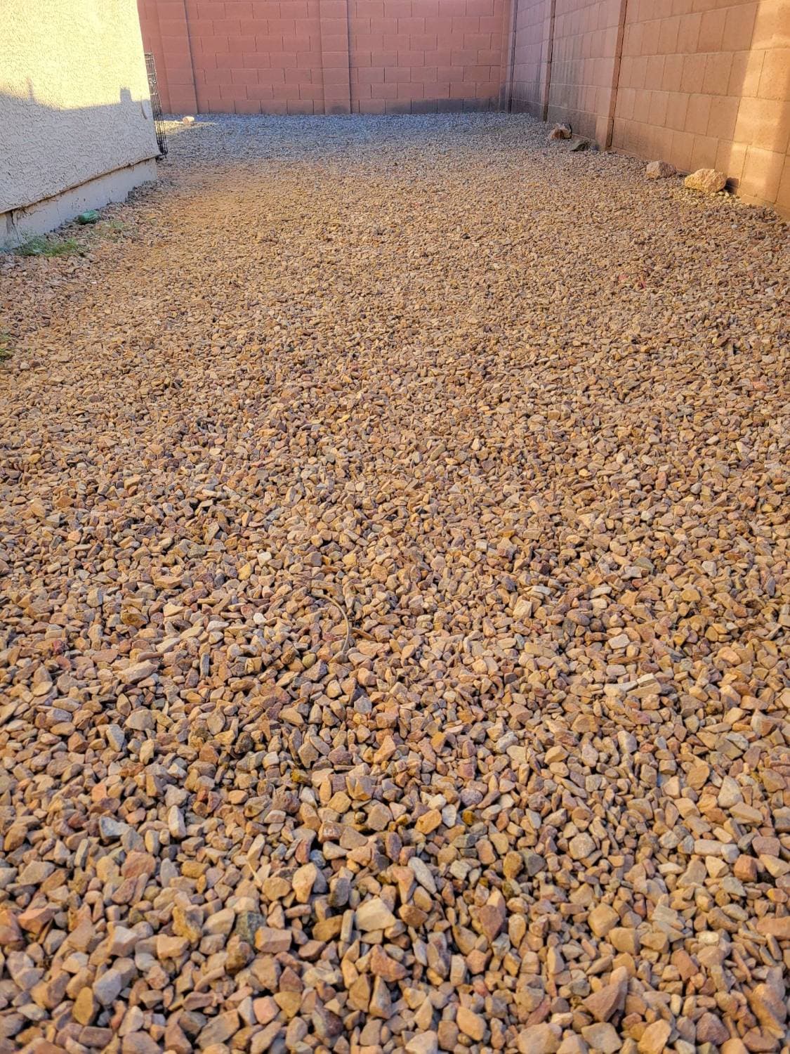After: the same gravel backyard, completely cleaned up by Paw N Scoop
